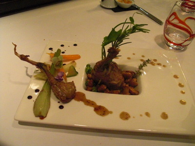 pigeon